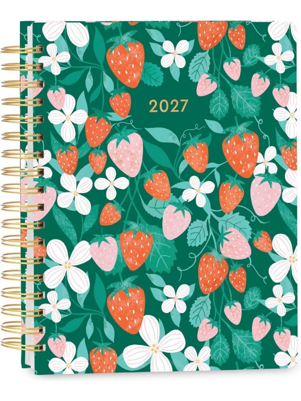 2027 Weekly & Monthly Planner, 17-Month Hardcover, Fruits Design, Stickers